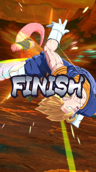 FINISH